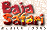 Click here to find out about Baja tours.